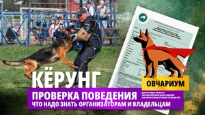 Овчариум 2. Схема проверки поведения на кёрунгах и выставках немецких овчарок