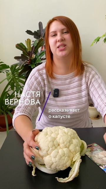 Настя с цветной капустой Болеро смотреть онлайн