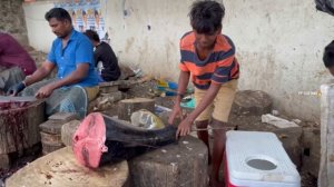 KASIMEDU 🔥 GIANT YELLOW FIN TUNA FISH CUTTING | IN KASIMEDU | 4K VIDEO | FF CUTTING 🐠🔪🐟