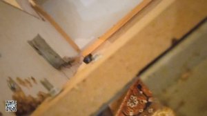 папа VS поломанный диван