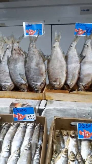 Центральный рынок Ростова-на-Дону смотреть онлайн