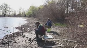 Волгоградская одл. Рыбалка на фидер.