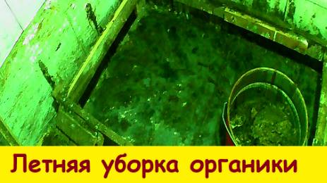 Летняя уборка органики