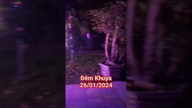 4 Chậu Bông Giấy Nơi Mộ NSƯT Vũ Linh @chutieuhoavien798 #shorts смотреть онлайн