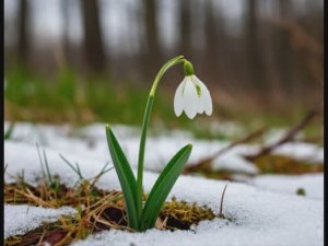 Весна... Стихи Григорьевой Аллы