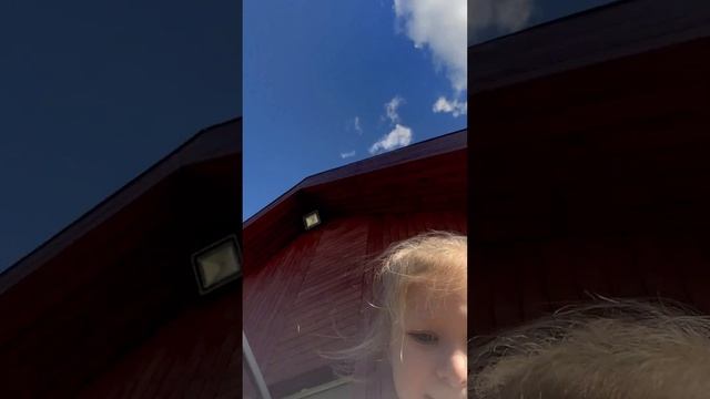 мистер Муся сажает лук смотреть онлайн