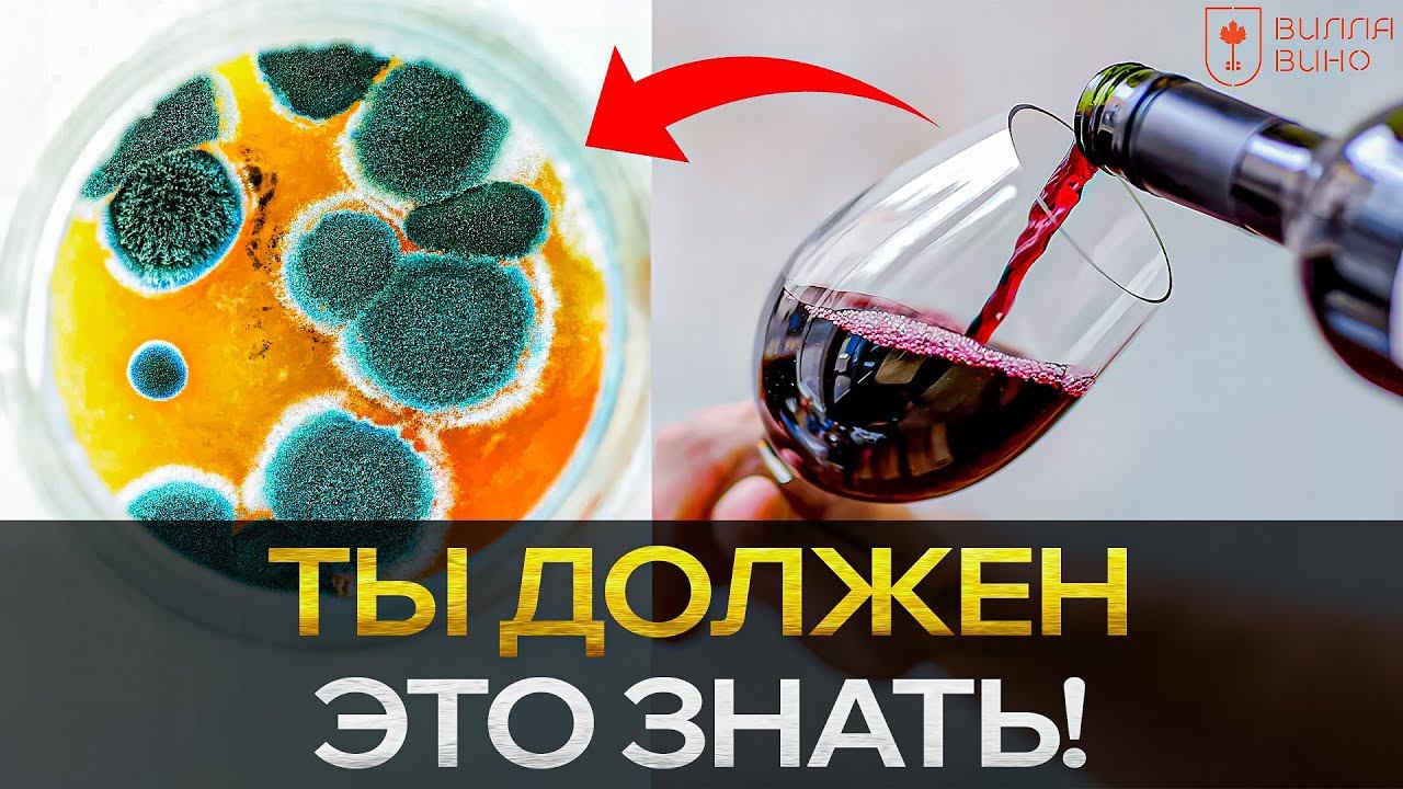 Чем станет Твоё ВИНО через месяц? РЕАЛЬНЫЙ Эксперимент от Винодела