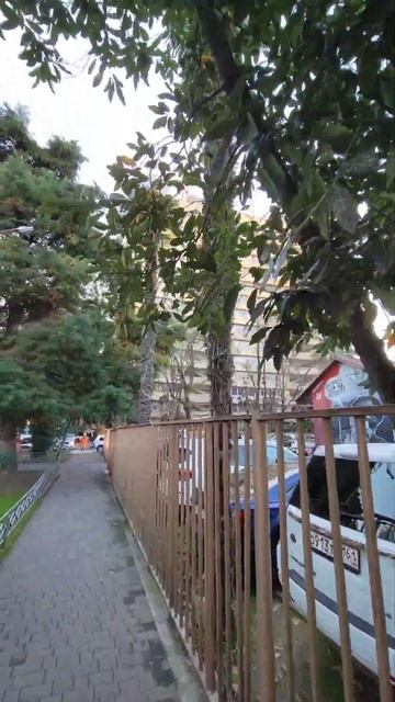 Улица Островского в Сочи зимой🌲🥳🌴 Районы Сочи #улицысочи смотреть онлайн