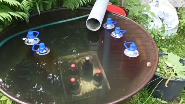 Когда комариха не пьет кровь. Жизнь Соло. Максометр. Мужское движение. смотреть онлайн