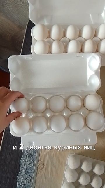наше домашнее яйцо