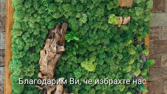 DECO MOSS BG / Декоративен мъх 10 000 Благодарим Ви смотреть онлайн