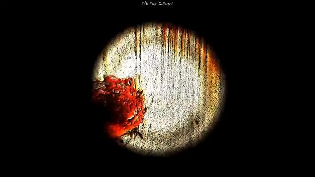 Slender The Gaze of Horror [This game is impossible]
