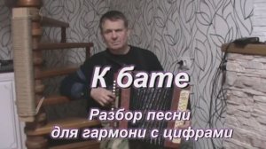 К бате. (001 гармонь с цифрами)