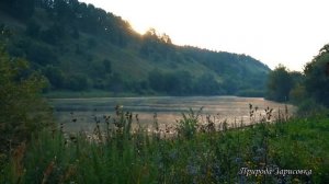 Руськие Мадамы Селекционеры (Архив Володя Батхёртов)