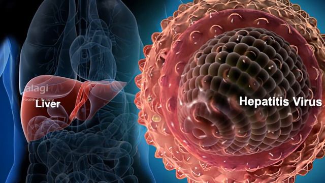 நயகள வரடடம மளளஙக  Amazing Health Benefits of Radish Tamil  Mullangi  Tamil Health Tip