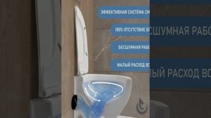 Инсталляция с унитазом Helmken 35103001 комплект 4 в 1 - краткий обзор