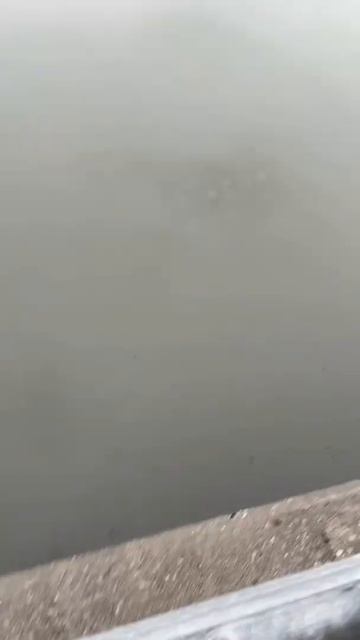 Утро перед штормом в Нью Йорке, много воды!!! смотреть онлайн