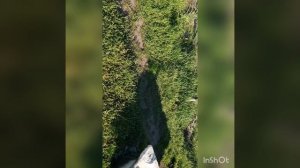 Всё белое от инея в середине апреля.