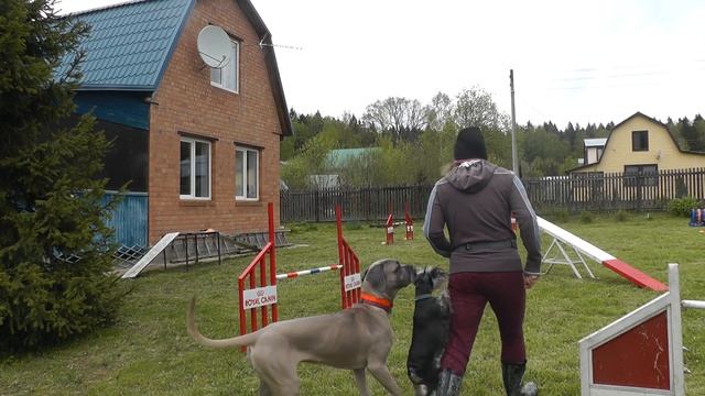 Следование. Смены направления, "прятки"
