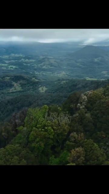 DJI mavic 3 Shorts