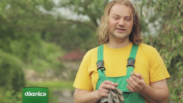 Jūlija mēneša augs - hosta смотреть онлайн