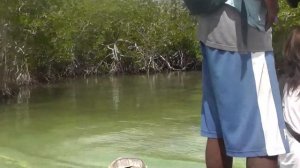 Каппер Адель Сулейманов в отпуске на Гаити