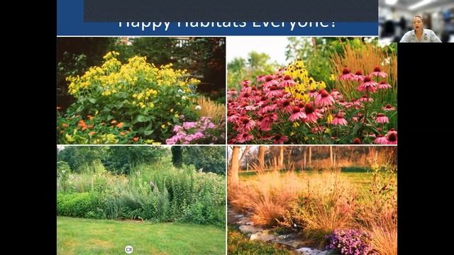 Creating Habitats for Birds and Butterflies  |  Community Programming