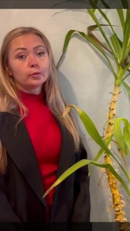 АДВОКАТ ВЫ$ТРЕЛИЛ В СЕБЯ