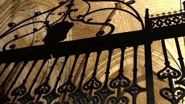 Pulchra Leonina смотреть онлайн