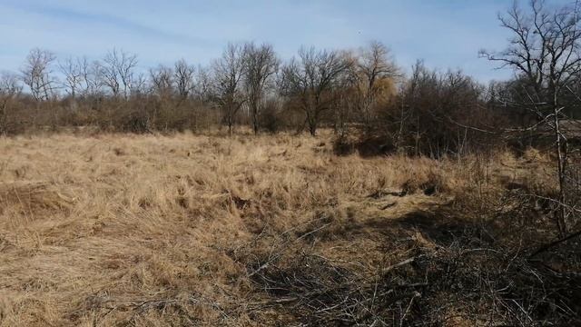 Продается участок 9,75 cоток ИЖС назначение в п. Заречный - АН "Риелтория" смотреть онлайн