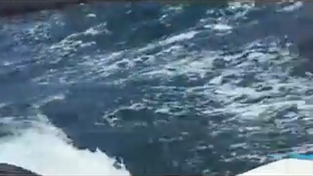 Тарханкут 06-2010-0.avi смотреть онлайн