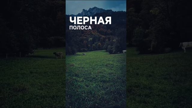 Жизнь /опыт / успех