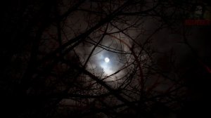 ГОЛОСА. Жуть на даче. Страшные истории на ночь 🫣🫣🫣