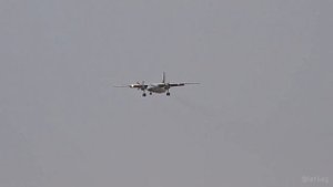 Ан-26 с дельфином.