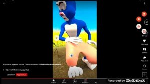 заяц синий