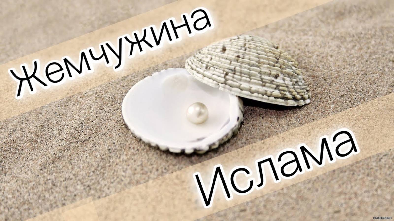 Жемчужина, которую потерял Абу Ляхаб смотреть онлайн