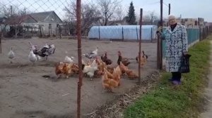 Как сказал Жириновский ЭТО РОССИЯ😂