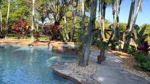 Orchid Garden Update, lots of improvements but new concerns, Orchids and too much SUN, Feb. 26, 202
