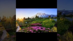 Придите, все сердца,
Кто любит труд Отца!