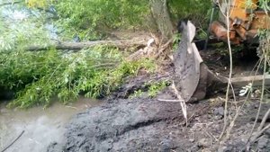 Дт 75 застрял достаем