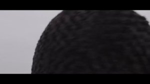 Обезьяна и Орёл