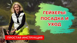 Гейхеры: посадка и уход для новичков