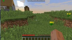 При создании нового мира, как сразу попасть в Деревню?