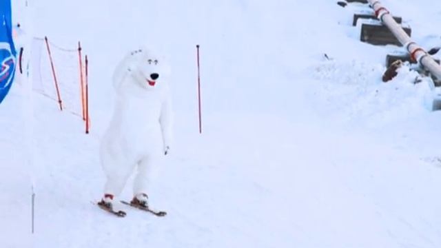 Медведь короткий галочка смотреть онлайн