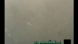 Очистка Скатом