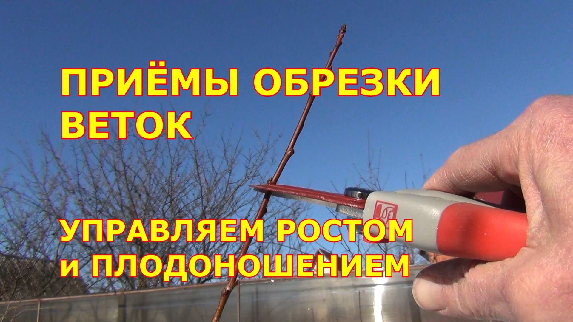Приёмы обрезки веток. Управляем ростом и плодоношением сада смотреть онлайн