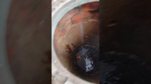 Биология для выгребных ям. Часть 4. Горыныч.