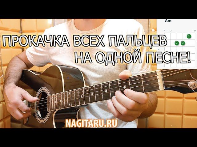 Походная песня - ДОРОГА ДОБРА. Аккорды в Am, разбор песни под гитару