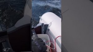 Краткий обзор лодки River Boats 350 жесткий пол