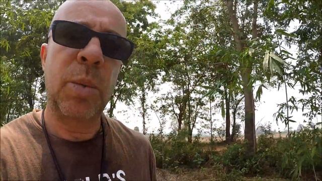 Growing a sustainable bamboo farm